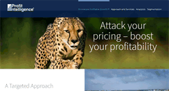 Desktop Screenshot of profitintelligence.com